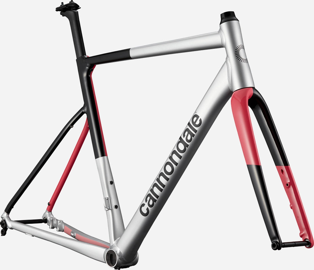 2024 CANNONDALE CAAD13 FRAMESET REP 48CM – Bicycle Express City