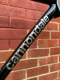 2026 Cannondale CAAD14 Frameset