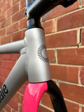 2024 CANNONDALE CAAD13 FRAMESET REP