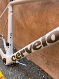 2025 Cervelo R5 Frameset Permafrost - 56cm