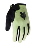 FOX 2023 YOUTH RANGER GLOVE CUCUMBER