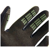 FOX 2023 YOUTH RANGER GLOVE CUCUMBER