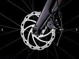 2025 Trek Domane AL 2 Gen 4