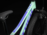 2025 Trek Precaliber 24 8-Speed Suspension