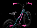 2025 Trek Precaliber 16 Coaster Brake