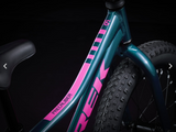 2025 Trek Precaliber 16 Coaster Brake