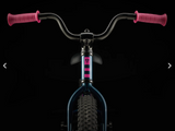 2025 Trek Precaliber 16 Coaster Brake