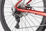 2026 Cannondale Trail 2
