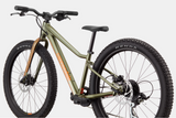 2026 Cannondale Kids Trail Plus 24"