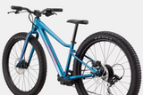 2026 Cannondale Kids Trail Plus 24"