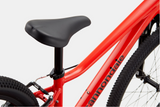2026 Cannondale Kids Trail 24"