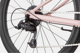 2026 Cannondale Kids Trail 24"
