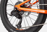 2026 Cannondale Kids Trail Plus 20"