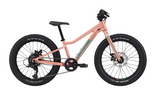 2026 Cannondale Kids Trail Plus 20"