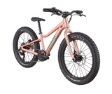 2026 Cannondale Kids Trail Plus 20"