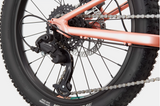 2026 Cannondale Kids Trail Plus 20"