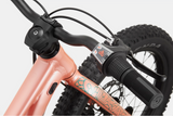2026 Cannondale Kids Trail Plus 20"