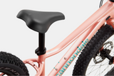 2026 Cannondale Kids Trail Plus 20"