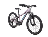 2026 Cannondale Kids Trail 20"