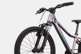 2026 Cannondale Kids Trail 20"
