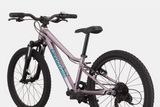 2026 Cannondale Kids Trail 20"