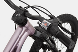 2026 Cannondale Kids Trail 20"
