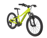 2026 Cannondale Kids Trail 20"