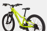 2026 Cannondale Kids Trail 20"