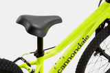 2026 Cannondale Kids Trail 20"
