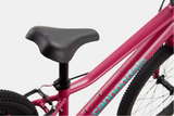2026 Cannondale Kids Quick 20"
