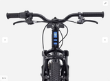 2027 Trek Precaliber 20" 7-speed