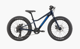 Cannondale Kids Trail Plus 20"
