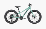 Cannondale Kids Trail Plus 20"