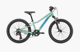 2027 Cannondale Kids Trail 20"