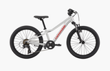 2027 Cannondale Kids Trail 20"