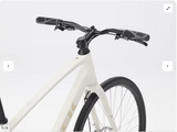 2027 Trek FX 1