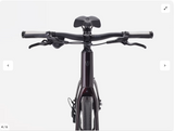 2027 Trek FX 3